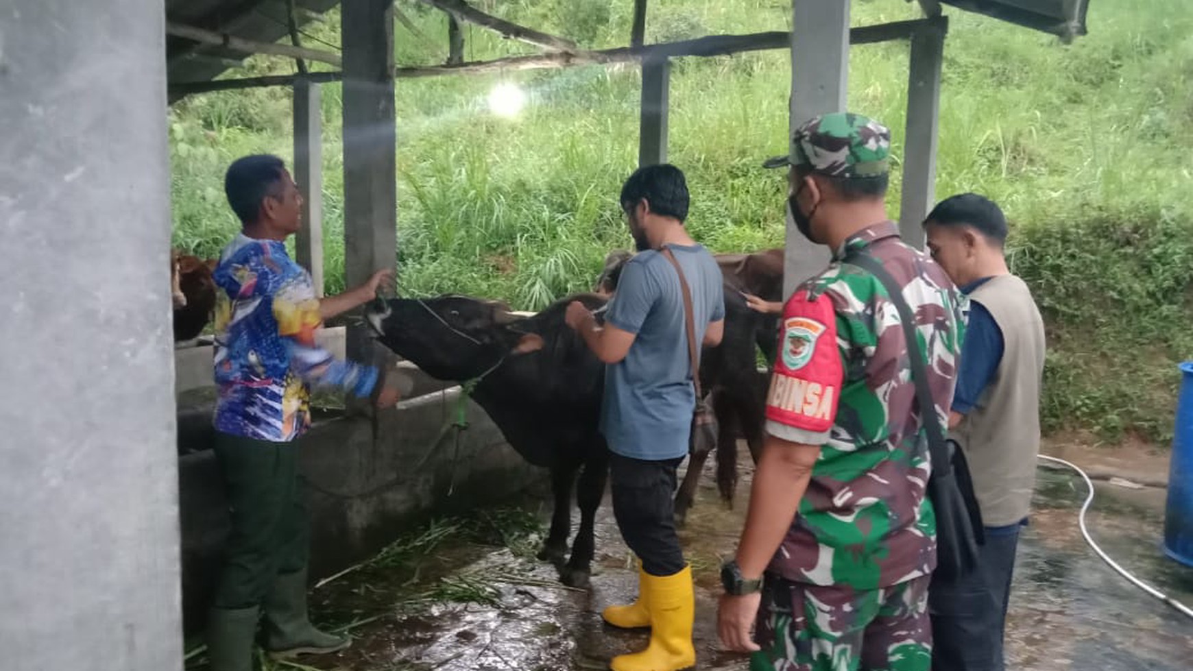 DIJUAL ,  LAHAN PETERNAKAN DAN PERTANIAN SERTA RUMAH TINGGAL DI KAKI GUNUNG HALIMUN 