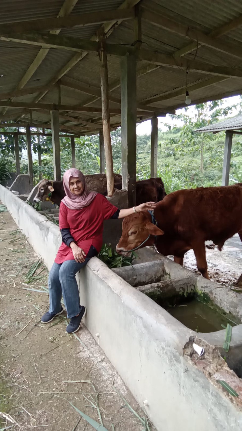 DIJUAL ,  LAHAN PETERNAKAN DAN PERTANIAN SERTA RUMAH TINGGAL DI KAKI GUNUNG HALIMUN 