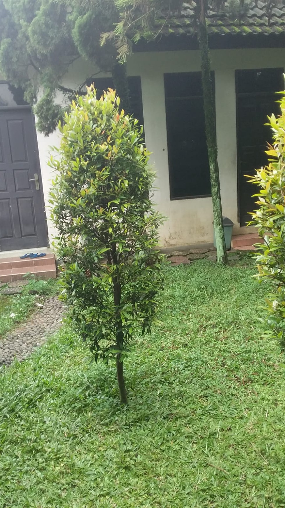 Dijual Rumah nyaman dibawah NJOP