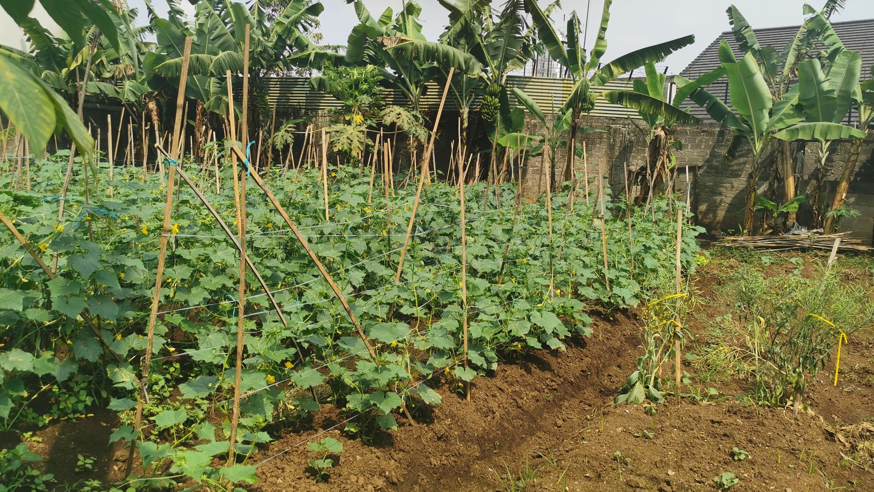 Tanah Strategis di Budi Luhur Sayap Setra Duta 