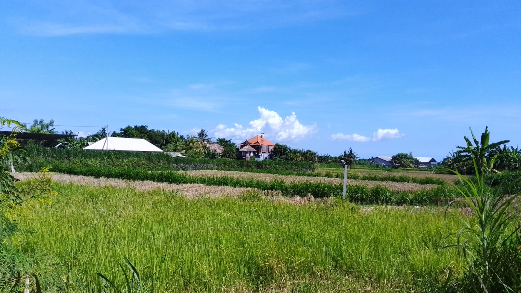 For Sale Freehold - Land for investment close to Keramas surfing beach ,Gianyar 