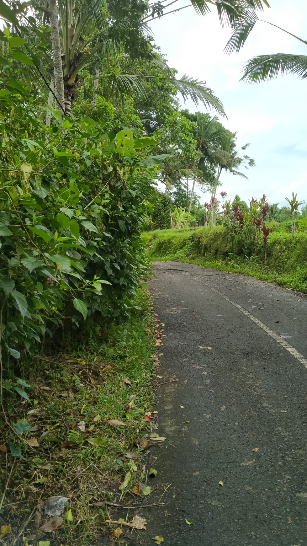 FREEHOLD Land 1.750 sqm. Affordable Life in Serenity Near Ubud