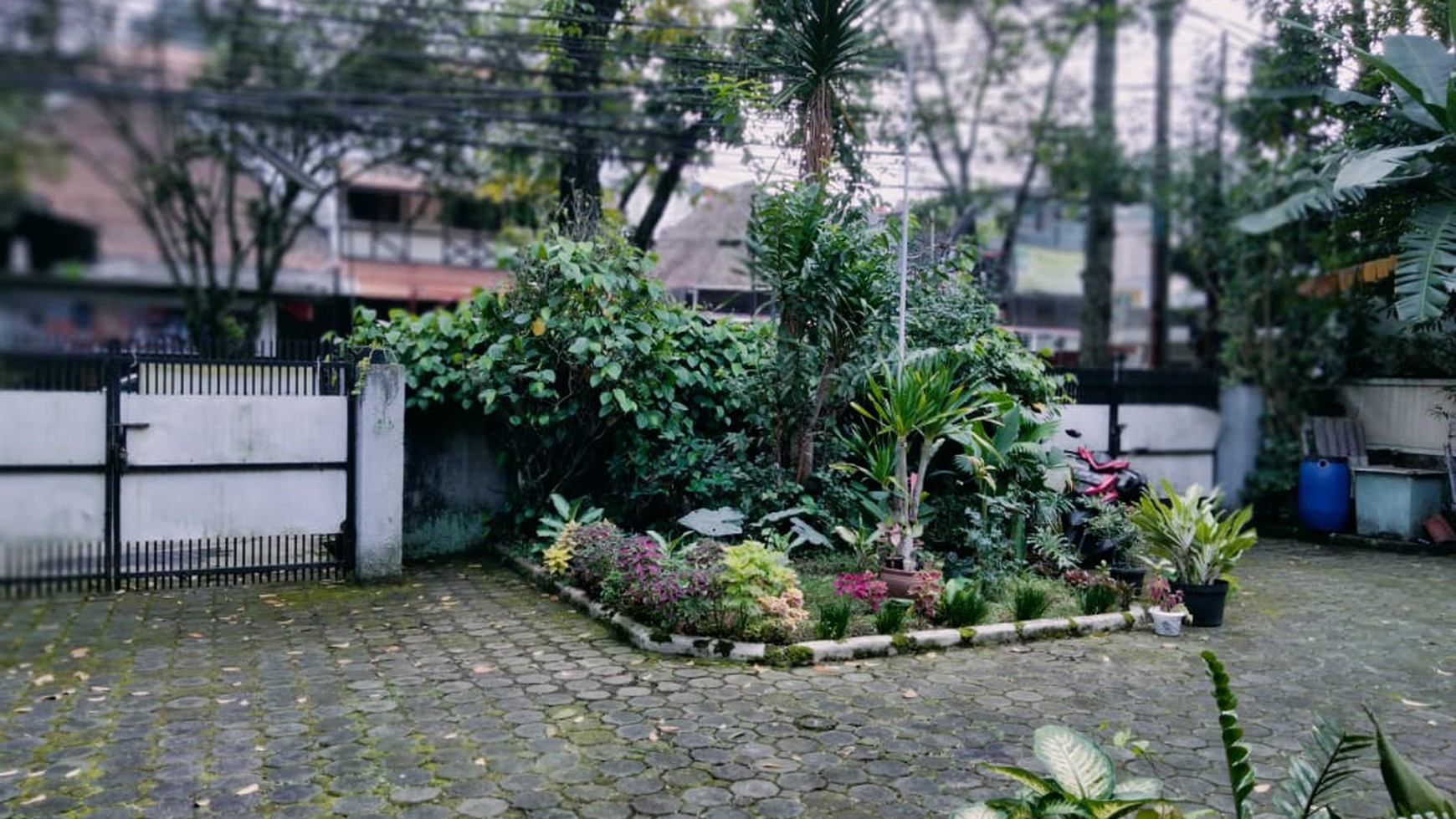 REPOSISI HARGA, Rumah klasik di Sayap Dago - Bandung