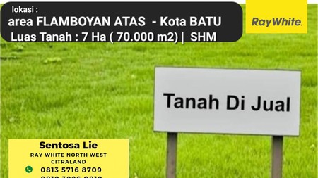 7 Ha Tanah kota Batu - Jatim  - lokasi Flamboyan Atas Batu  plus Beberapa Cottages  - Surat SHM 