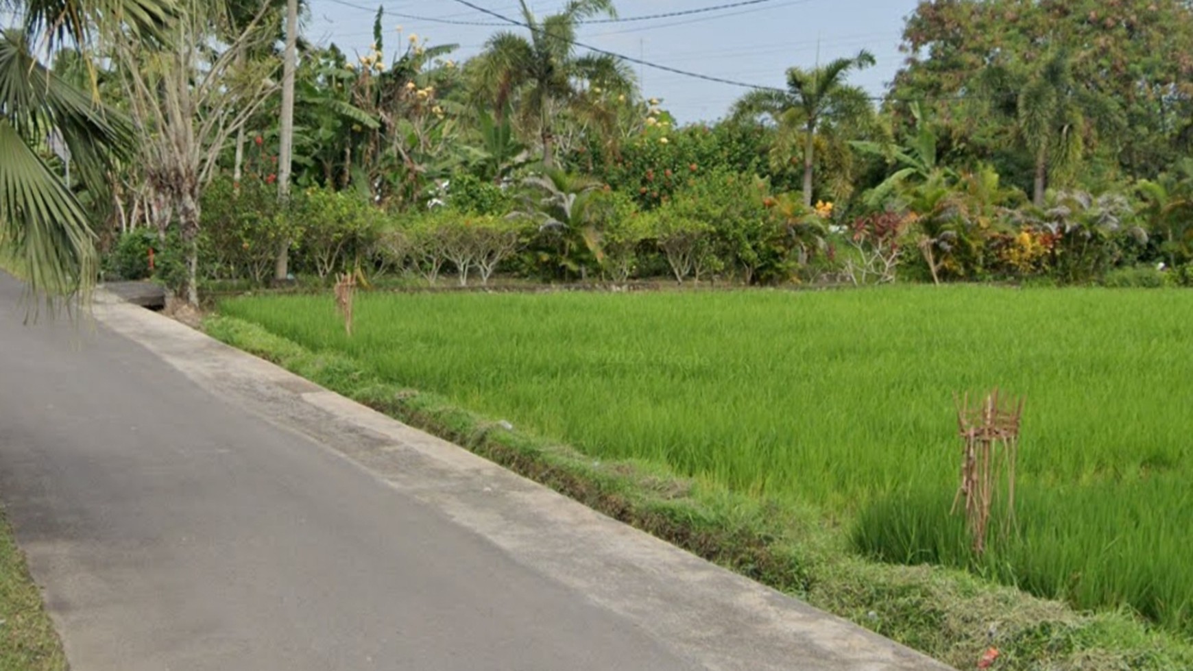 Quiet Land in Buwit