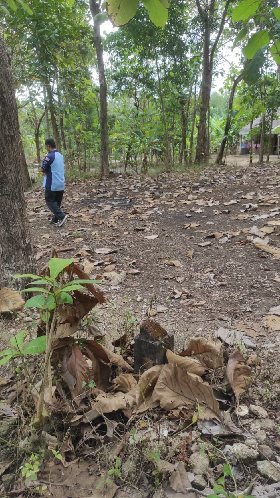 Tanah Luas 269 meter2 di Perum Bangunjiwo Bantul