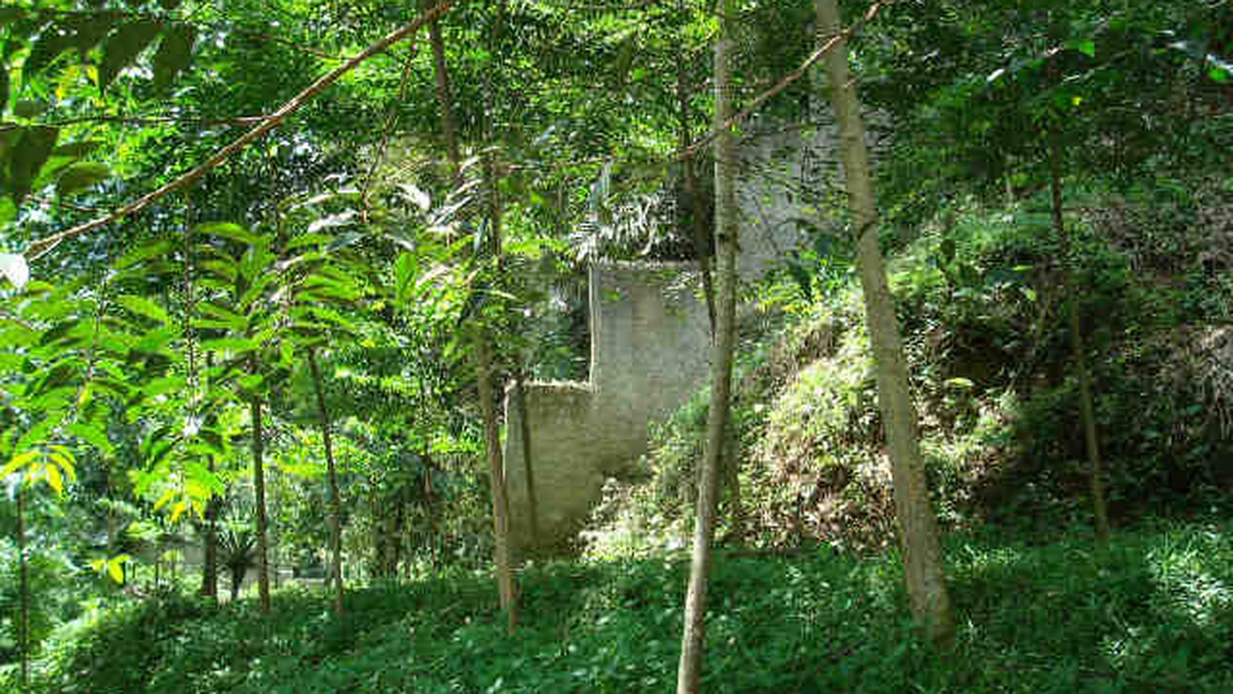 Lokasi Cocok untuk dibangun diklat dan sejenisnya