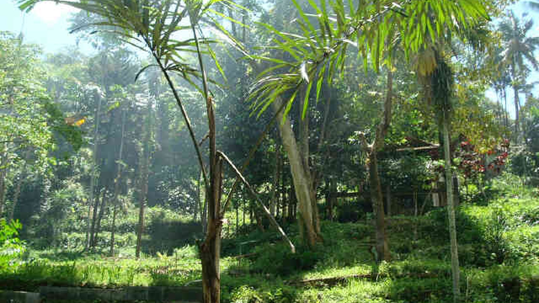 Lokasi Cocok untuk dibangun diklat dan sejenisnya