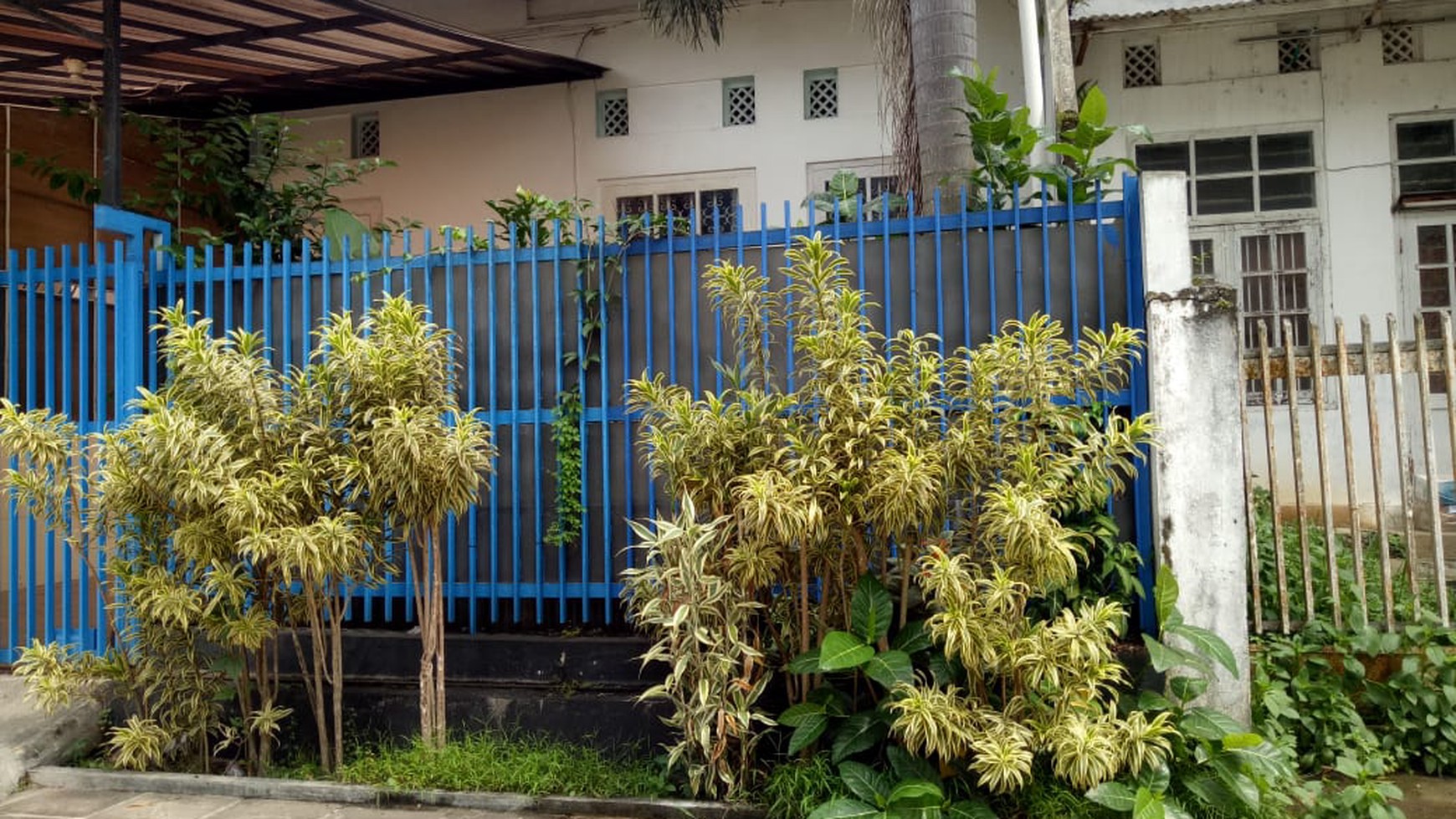 Rumah 5 Kamar Berada Dekat AlunAlun Magelang 