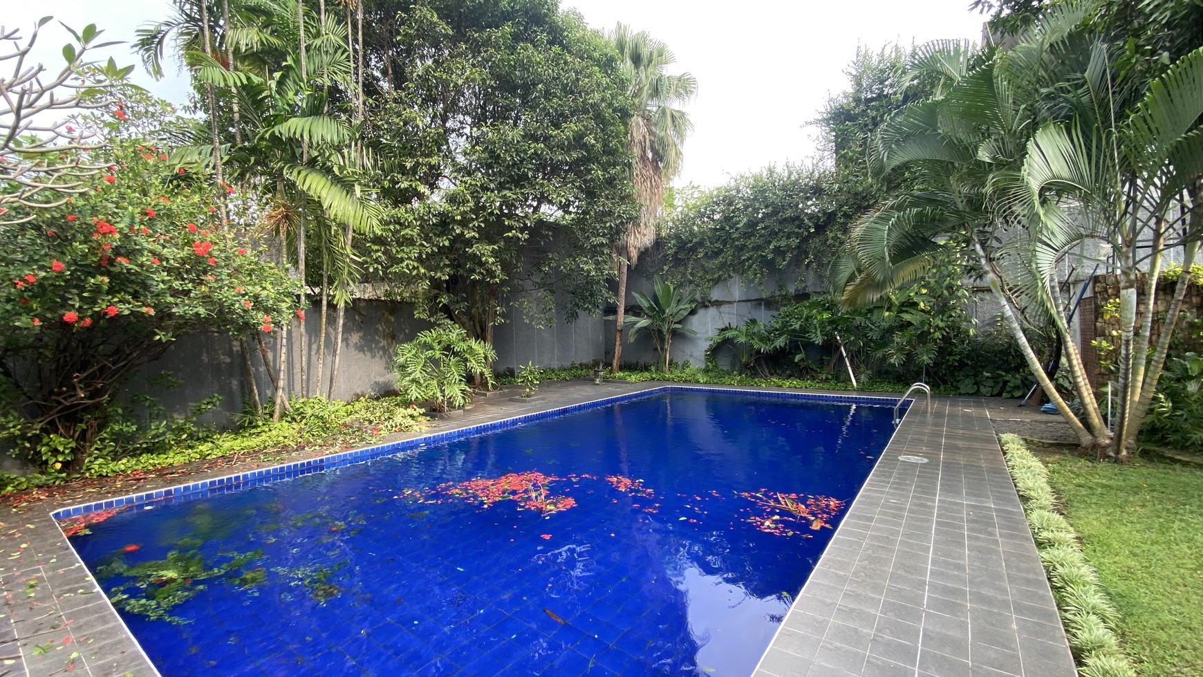 BEAUTIFUL HOUSE WITH BIG BACKYARD AT KEMANG AREA