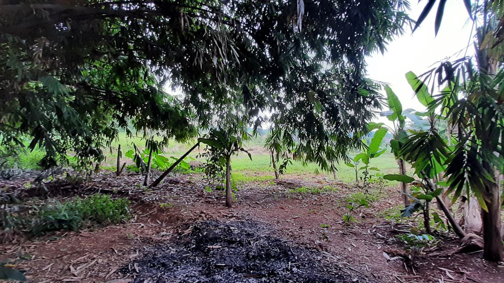 Lahan Komersial 2.5 Ha di Cileungsi Setu Bogor