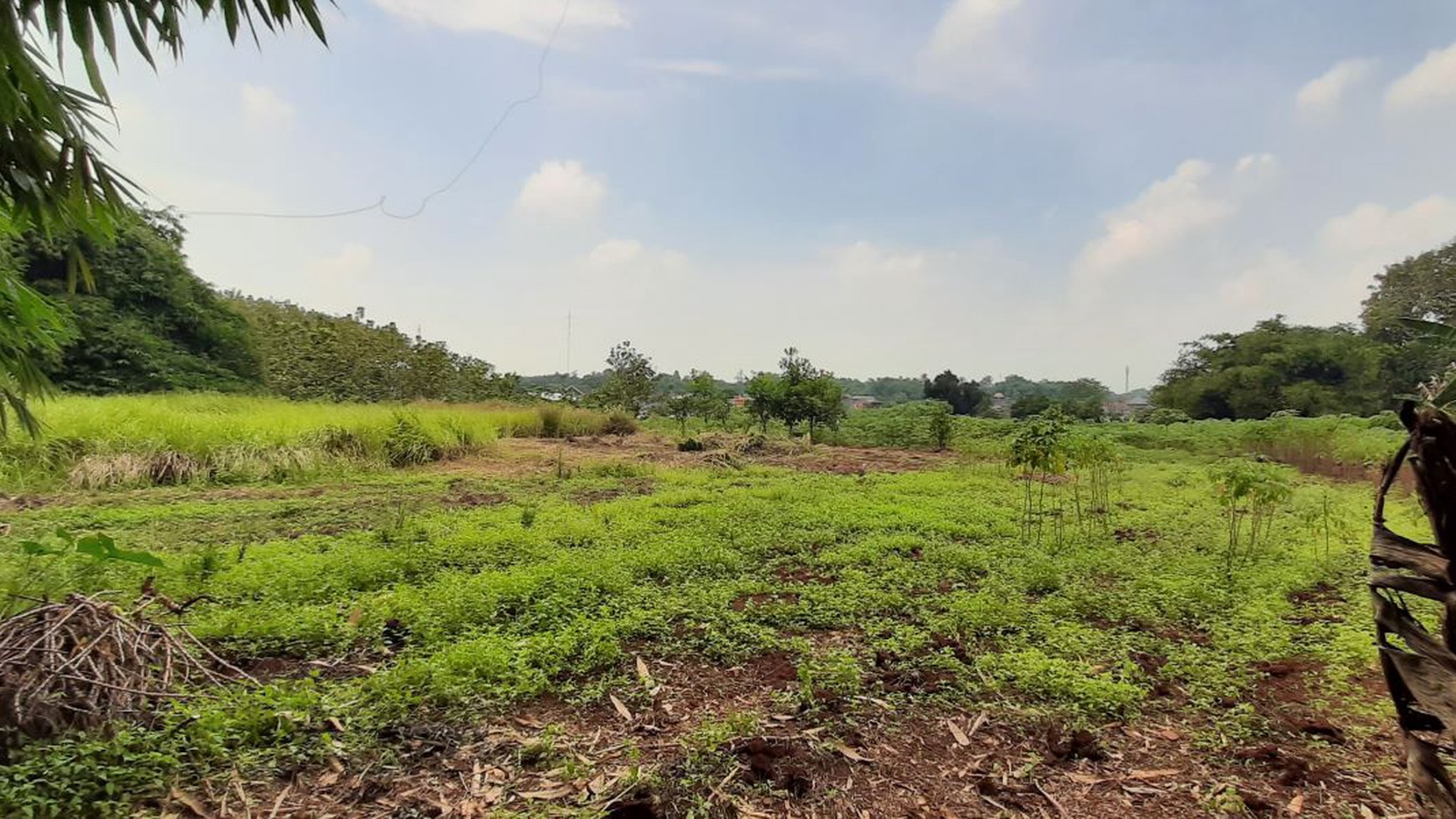 Lahan Komersial 2.5 Ha di Cileungsi Setu Bogor