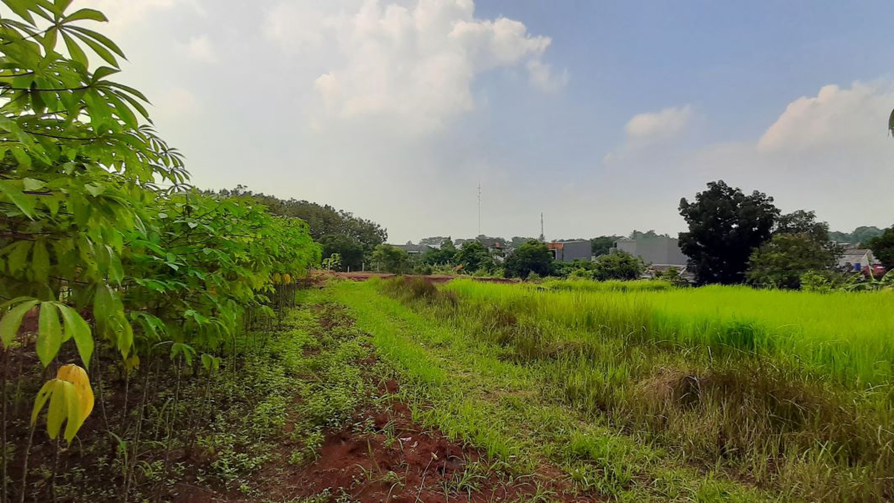 Lahan Komersial 2.5 Ha di Cileungsi Setu Bogor