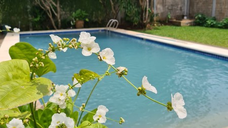 Rumah ada kolam renang di Kemang Barat Jakarta Selatan