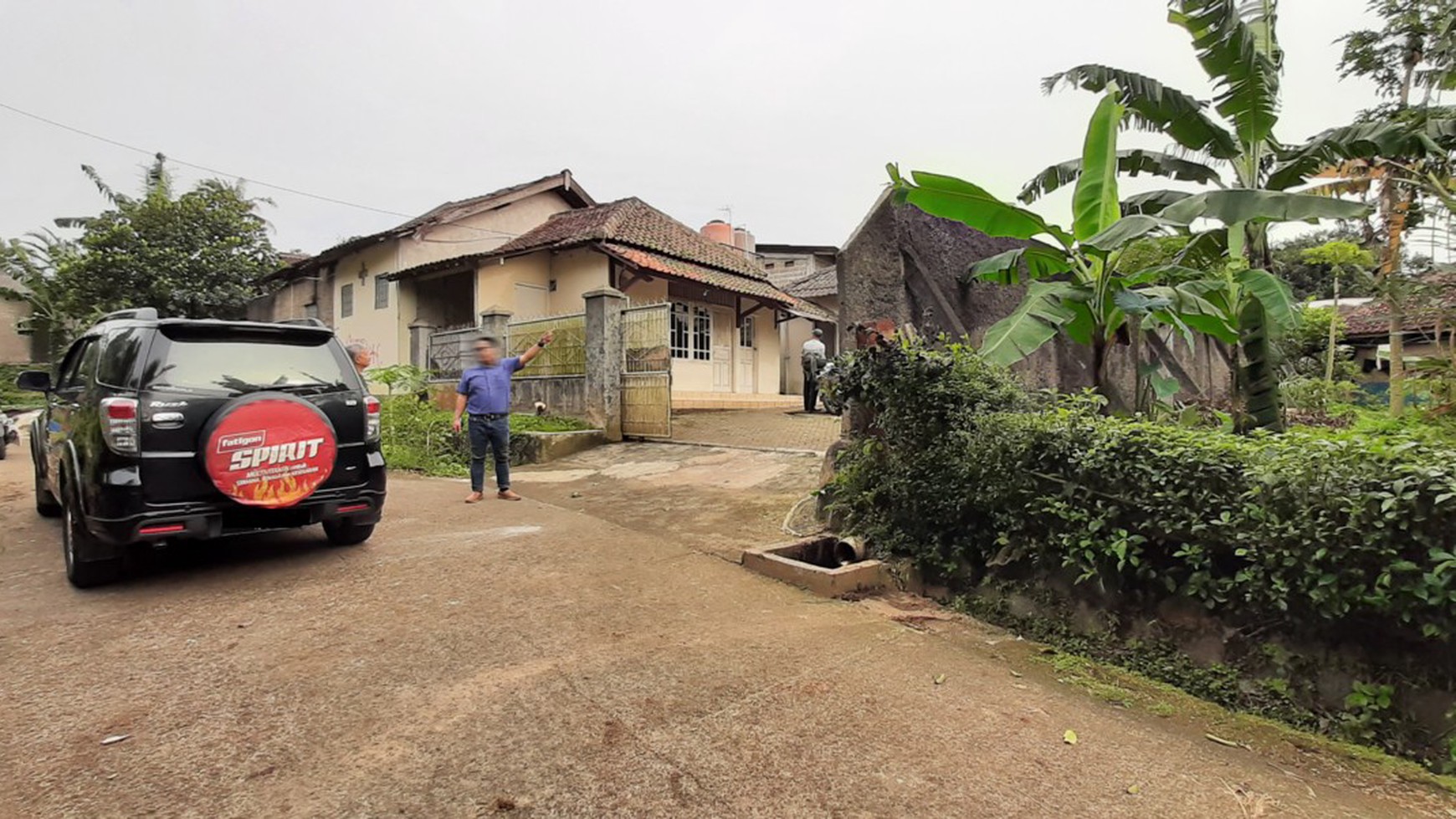 Peternakan Sapi Perah di Kawasan Khusus Peternakan Sapi Perah Pondok Ranggon