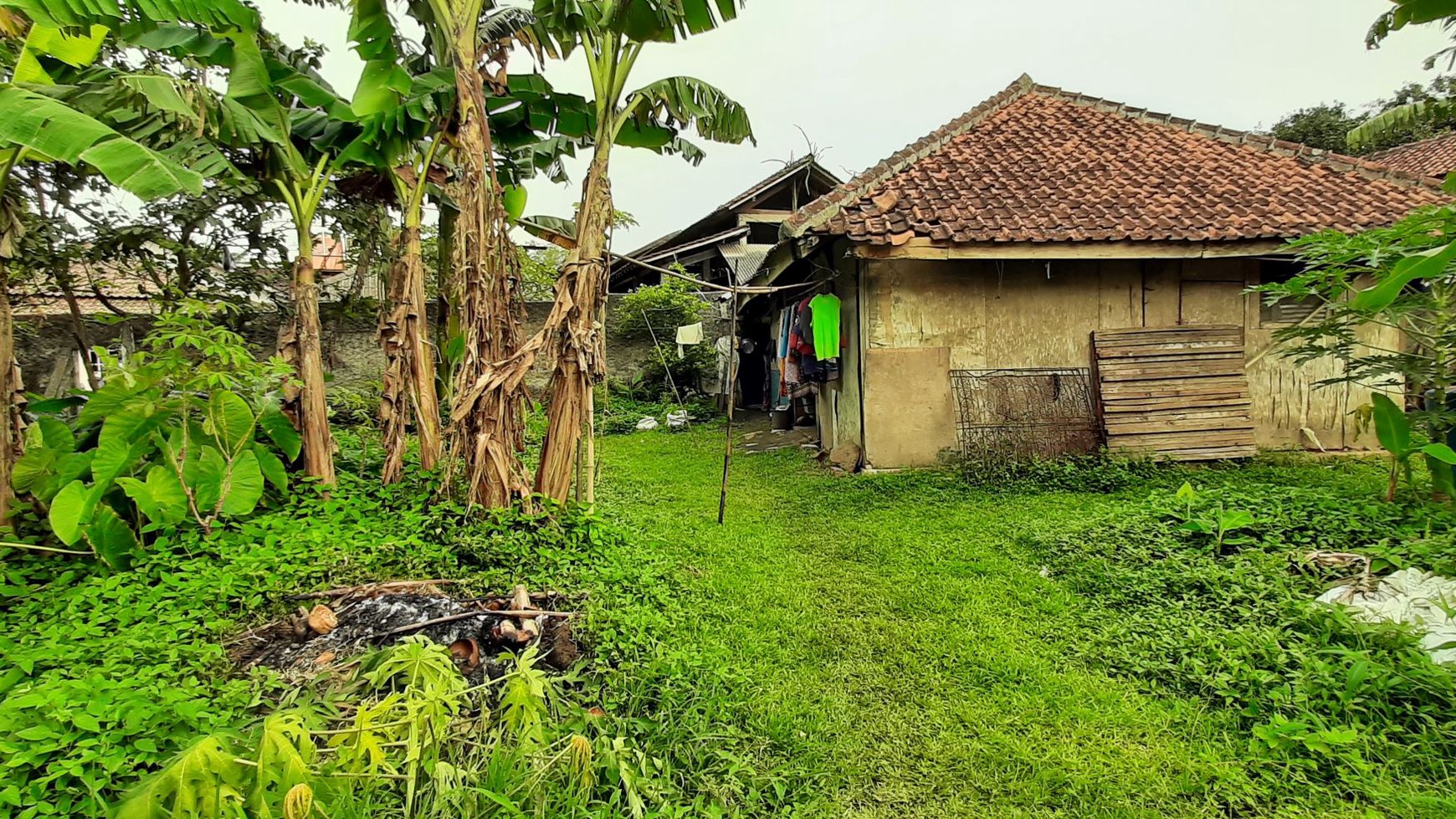 Peternakan Sapi Perah di Kawasan Khusus Peternakan Sapi Perah Pondok Ranggon