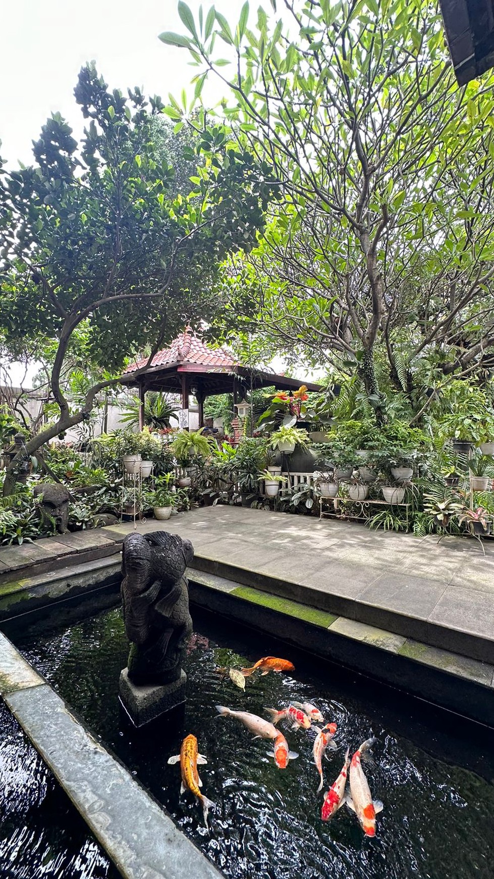 Hotel dengan gaya jawa klasik di lebak bulus, jakarta selatan