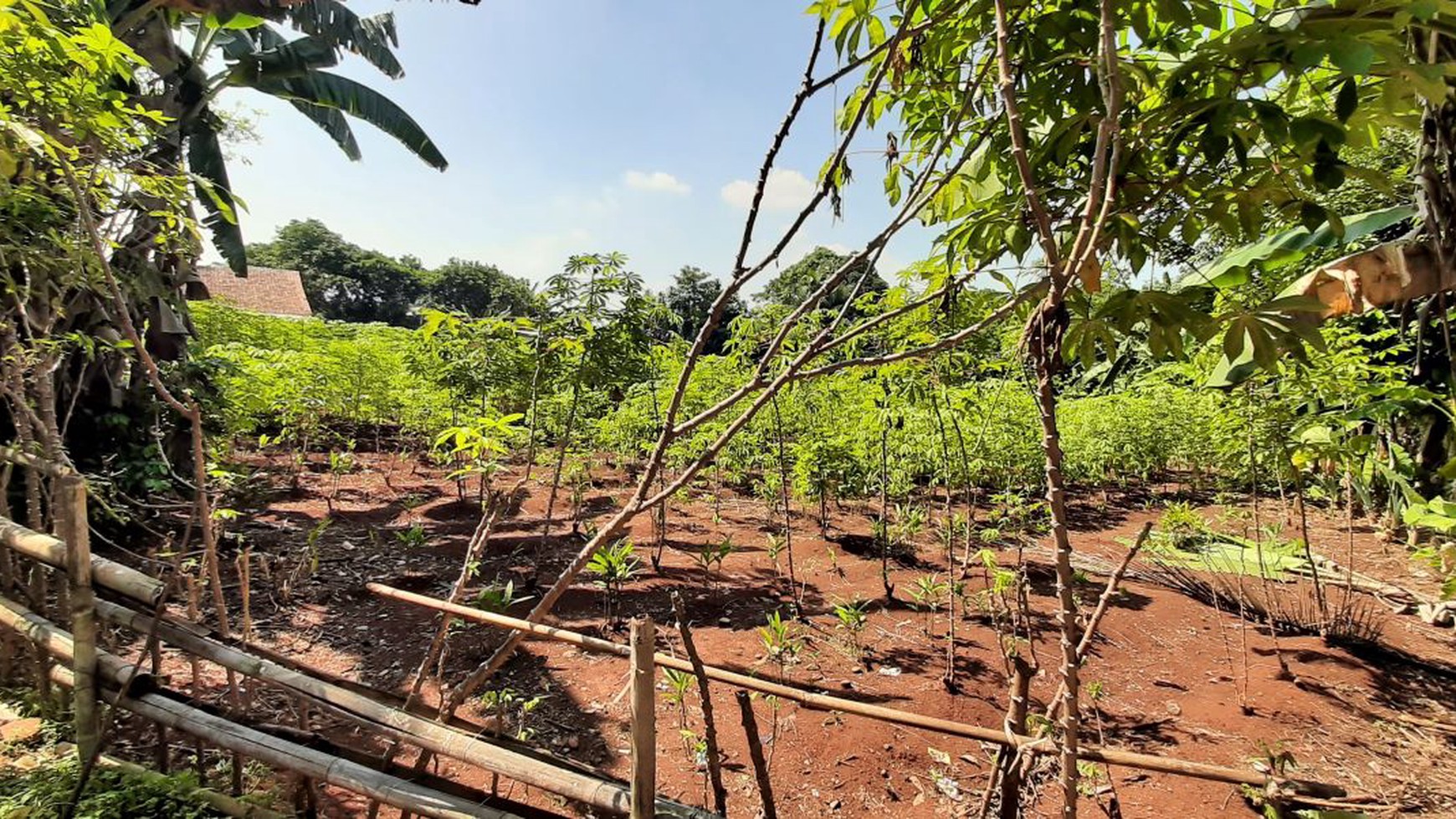 Lahan di Cileungsi Gandoang Cibubur Bogor