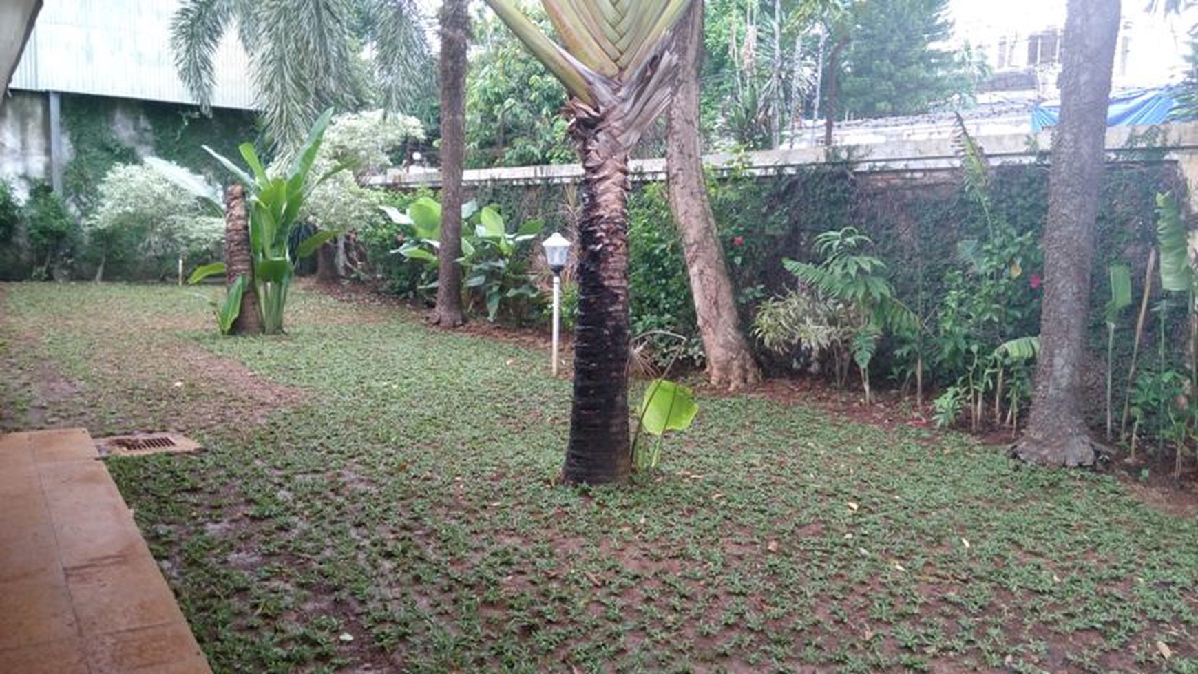 Beautiful house in Kemang with huge Backyard