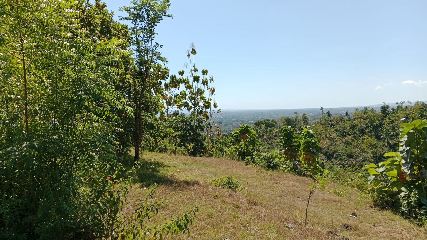 Land With Mountain View For Sale In Lovina