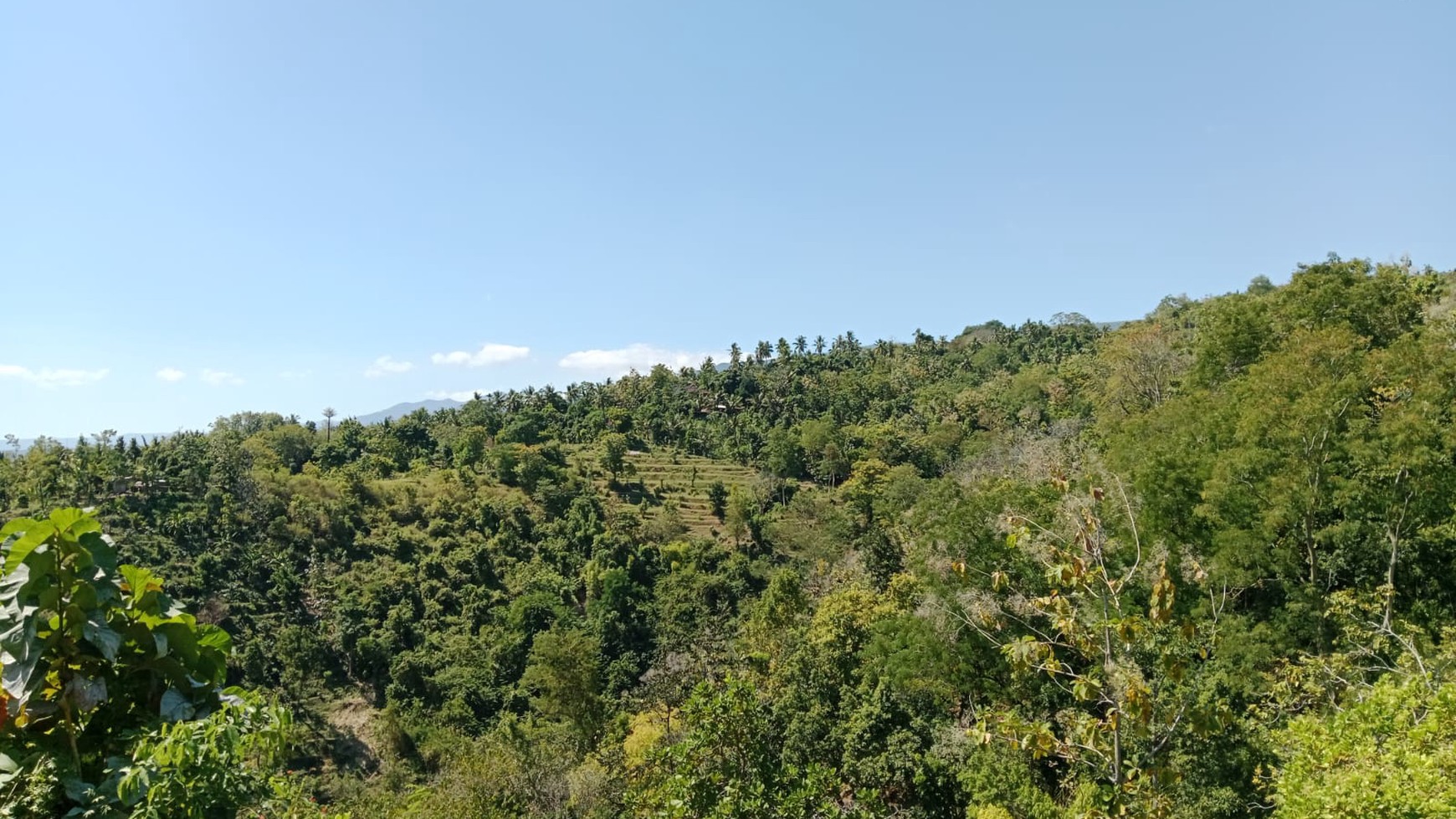 Land With Mountain View For Sale In Lovina