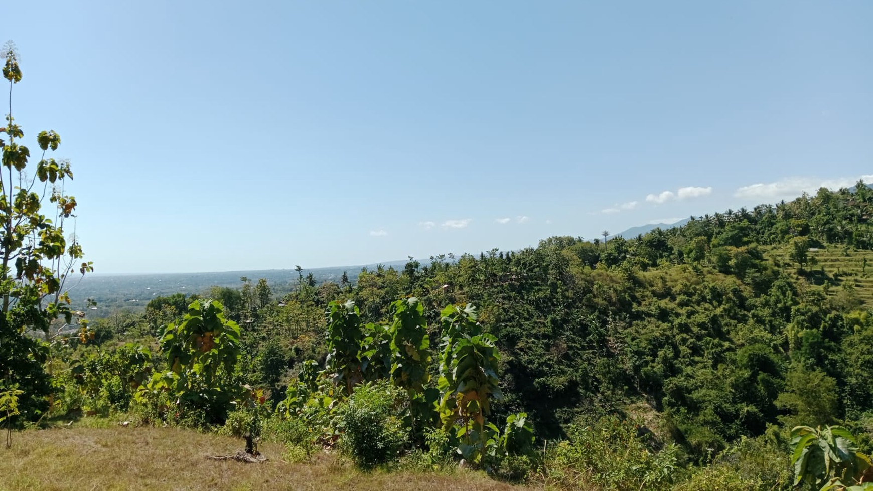 Land With Mountain View For Sale In Lovina