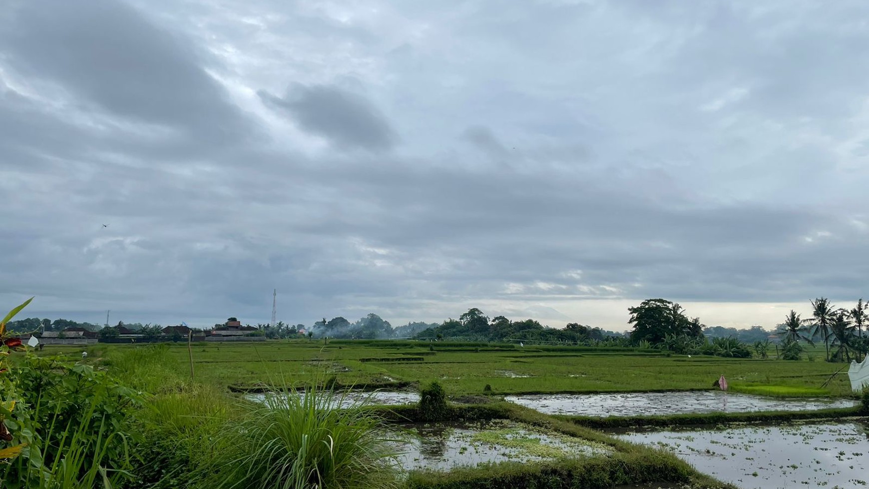 Cozy House sorrunded rice field