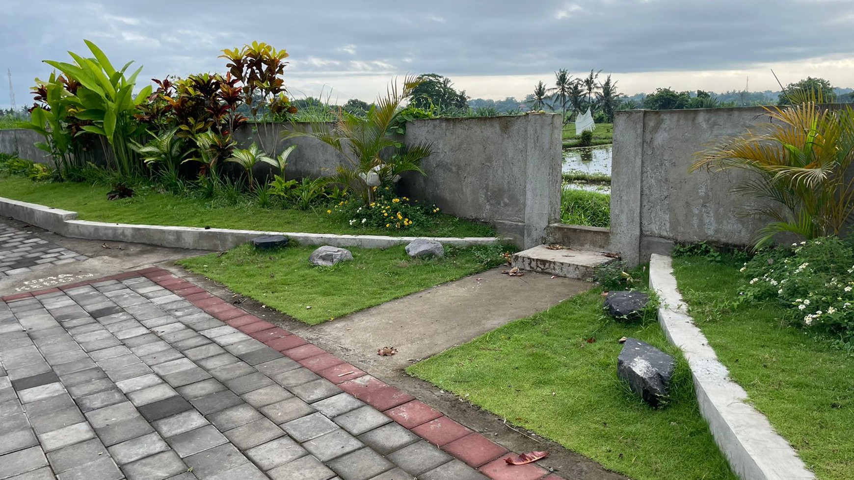 Cozy House sorrunded rice field