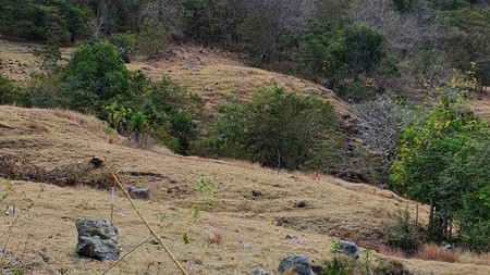 KAVLING DI LABUAN BAJO