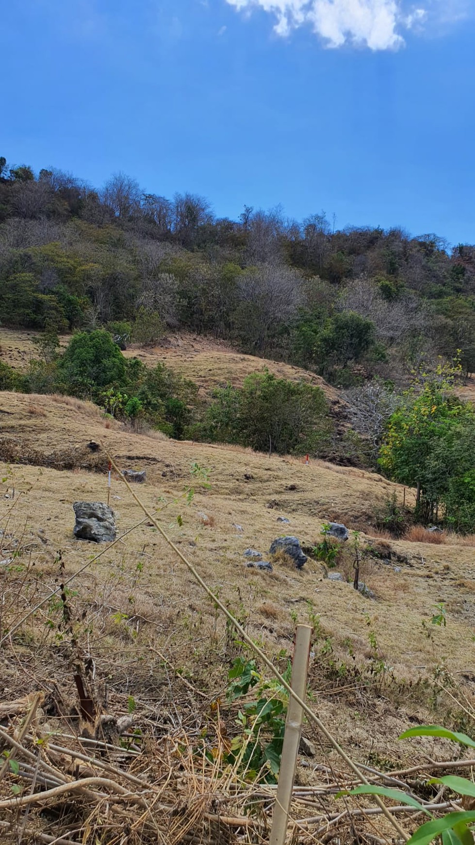 KAVLING DI LABUAN BAJO