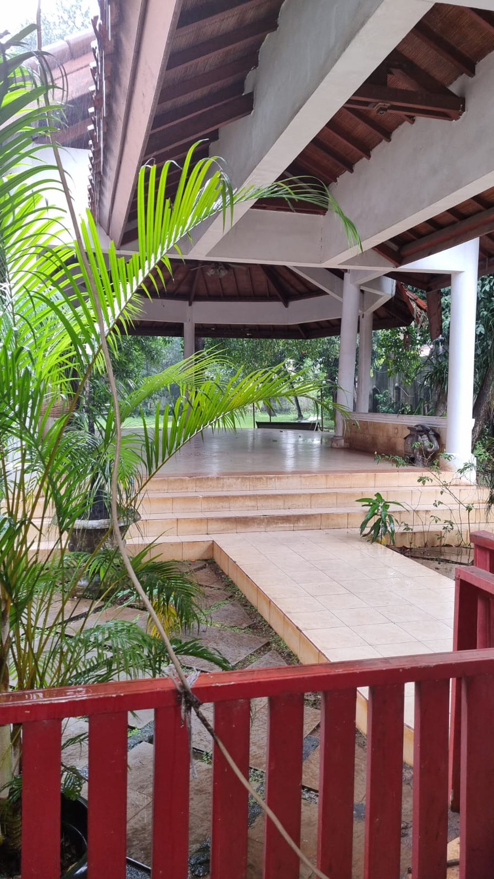 Rumah Bagus Siap Huni dan Asri di Jalan Siaga Raya, Pejaten, Jakarta Selatan 