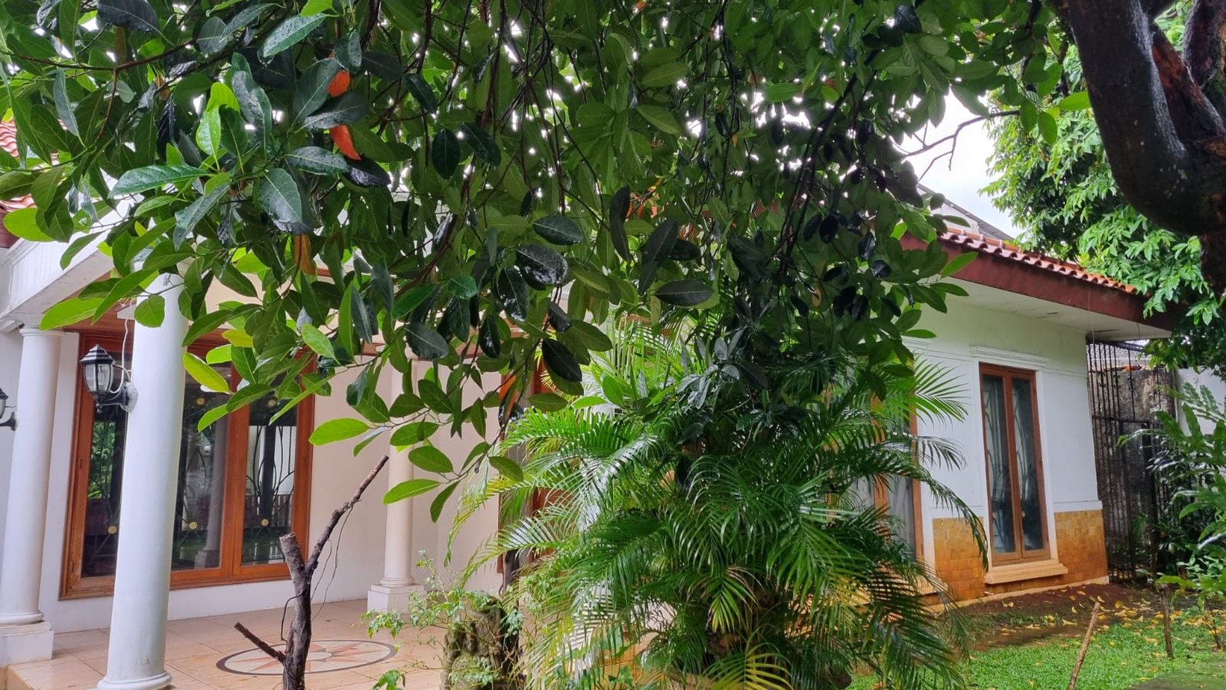 Rumah Bagus Siap Huni dan Asri di Jalan Siaga Raya, Pejaten, Jakarta Selatan 