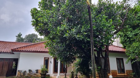 Rumah Bagus Siap Huni dan Asri di Jalan Siaga Raya, Pejaten, Jakarta Selatan 