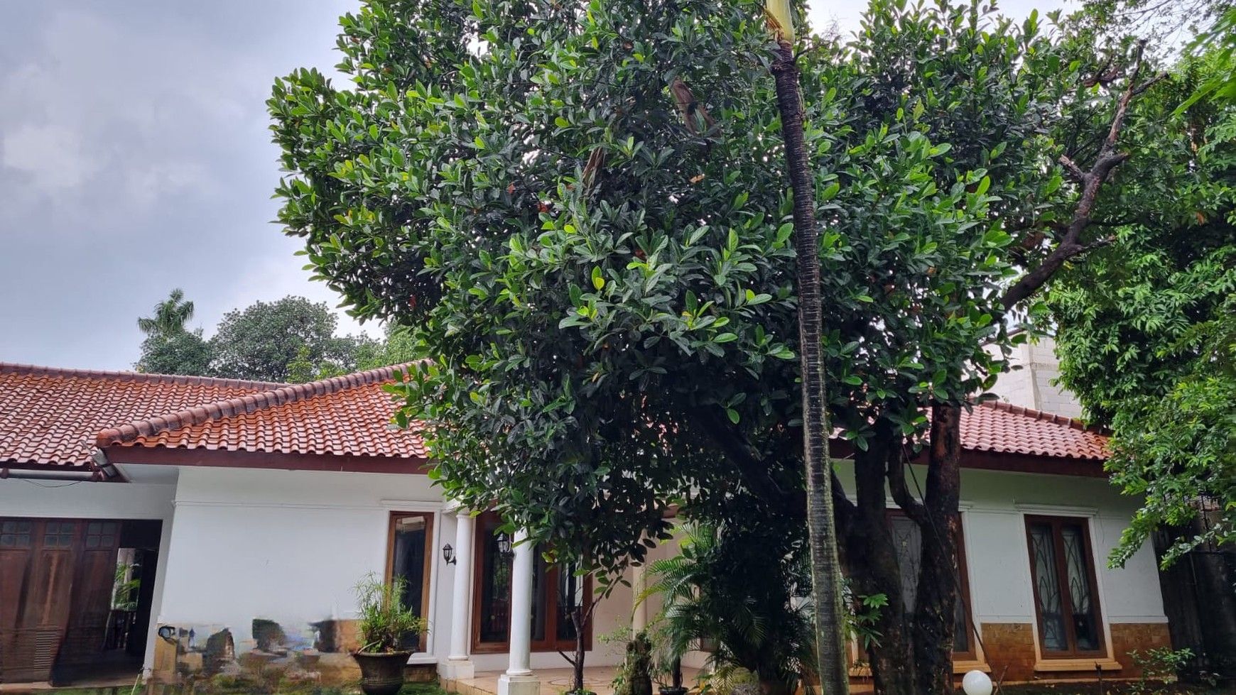 Rumah Bagus Siap Huni dan Asri di Jalan Siaga Raya, Pejaten, Jakarta Selatan 