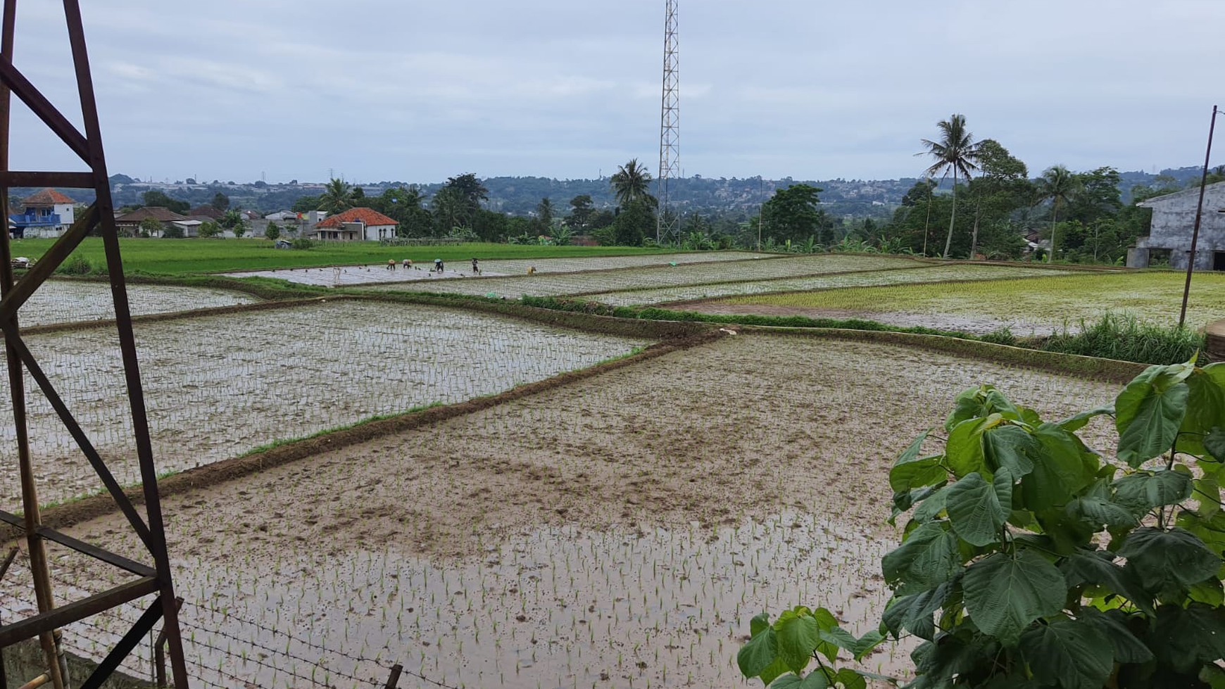 Investasi Kavling + Sawah, Bonus Rumah Villa 