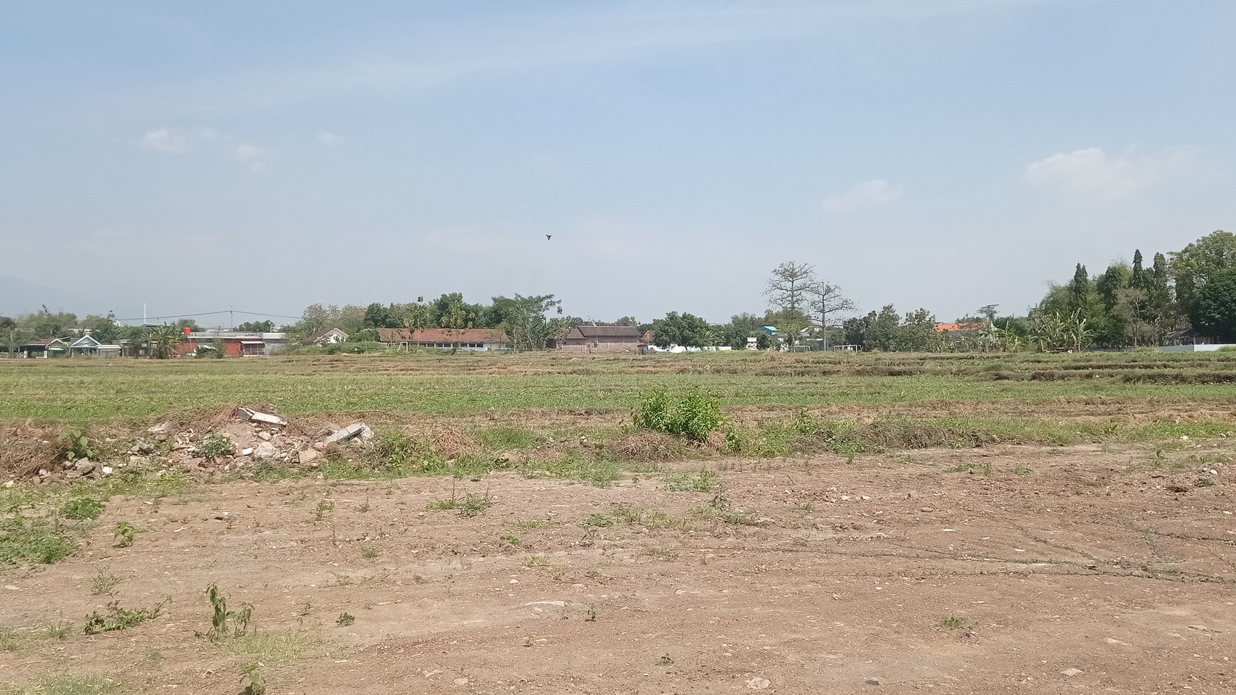 DiJual Tanah Komersil jl Raya Pungging,Mojosari