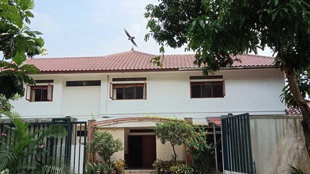 Rumah Asri Terawat Halaman Luas di Cilandak Barat Dijual