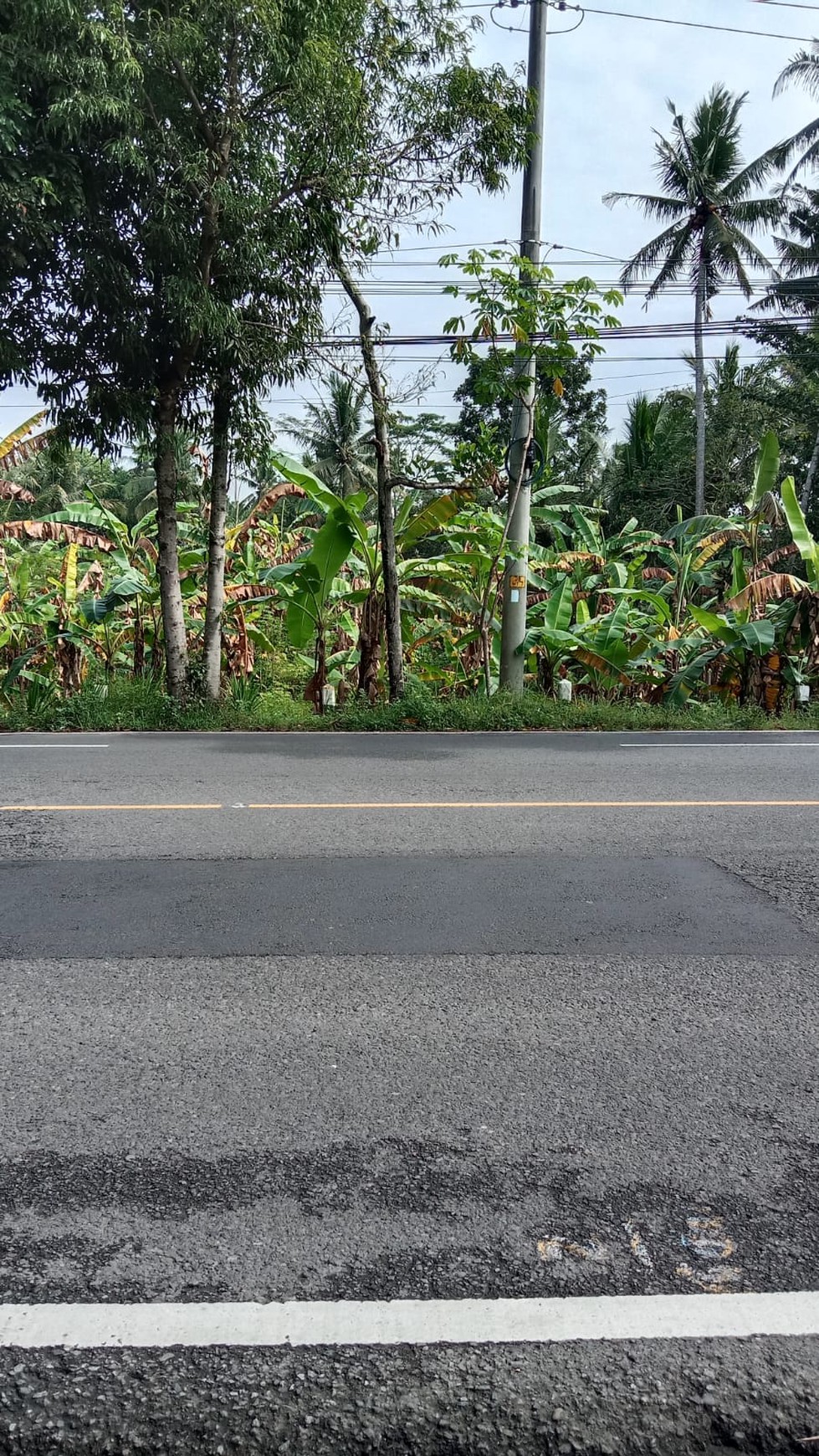 Tanah Pekarangan Luas 866 Meter Persegi di Jalan Purworejo - Wates 