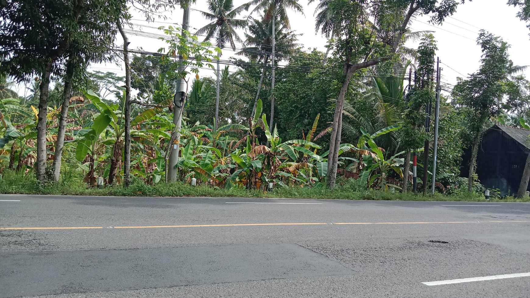 Tanah Pekarangan Luas 866 Meter Persegi di Jalan Purworejo - Wates 