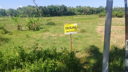 Tanah Pekarangan Luas 397 Meter Persegi di Sindutan Kulon Progo  