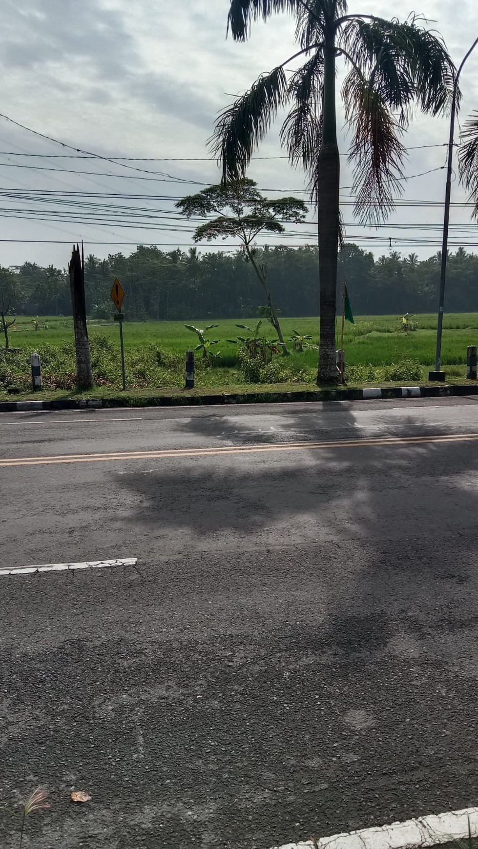 Tanah Pekarangan Luas 397 Meter Persegi di Sindutan Kulon Progo  