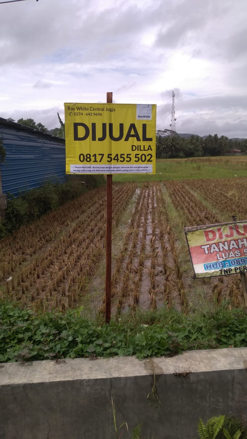 Tanah Sawah Seluas 504 Meter Persegi  di Demen Kulonprogo 