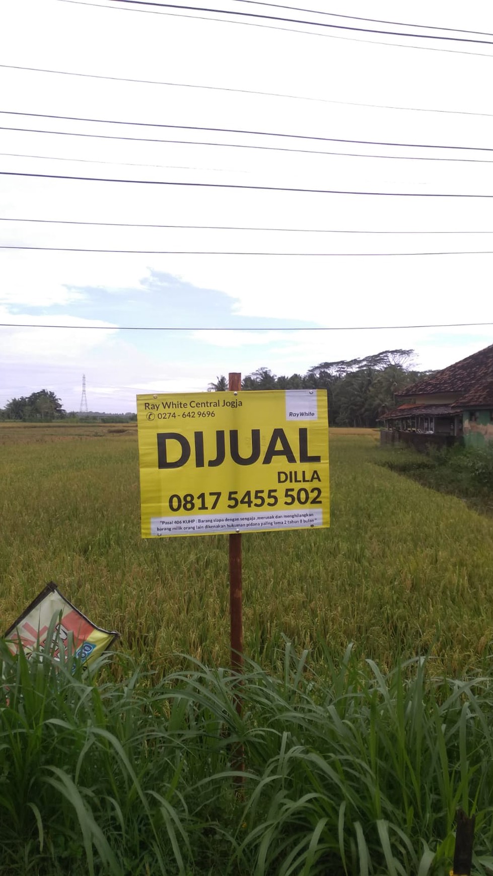 Tanah Sawah Seluas 628 Meter Persegi di Temon Kulonprogo 