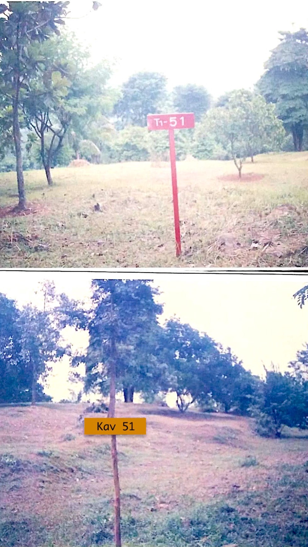 Tanah Kavling Di Cariu Indah Jonggol Tempat Berkebun dan Bertani [Cariu-Bogor]