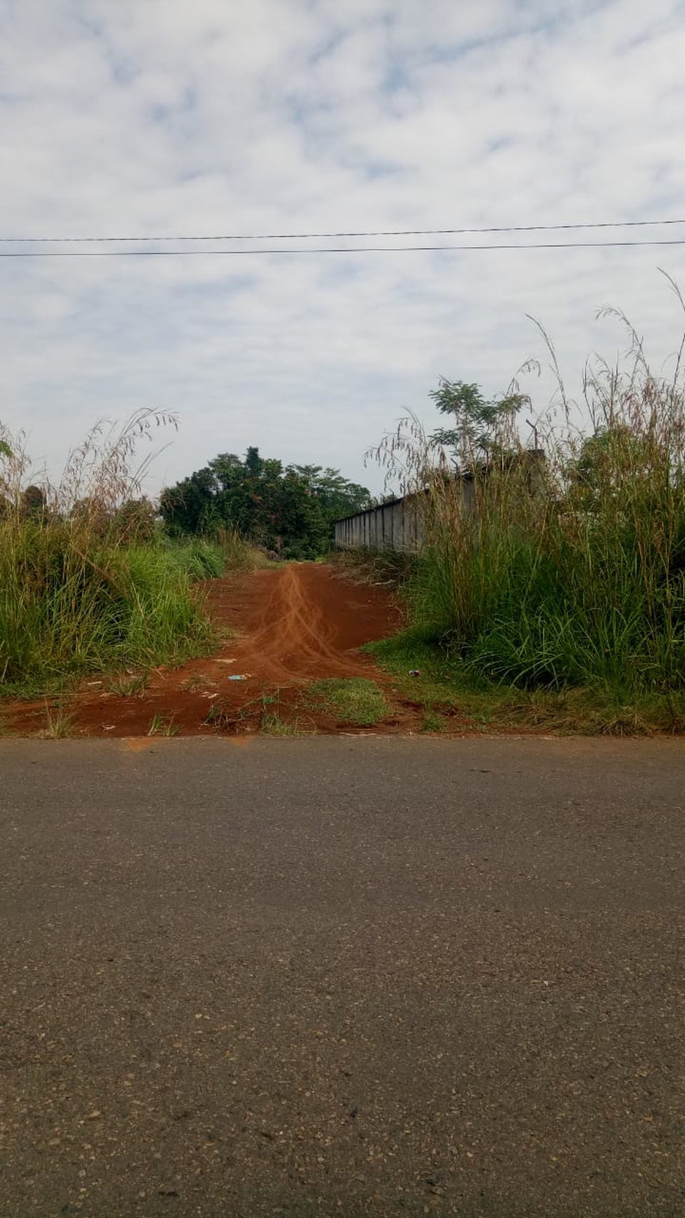 TANAH KAVLING Di DESA SURO MUARA BELITI MUSI RAWAS SUMATRA SELATAN