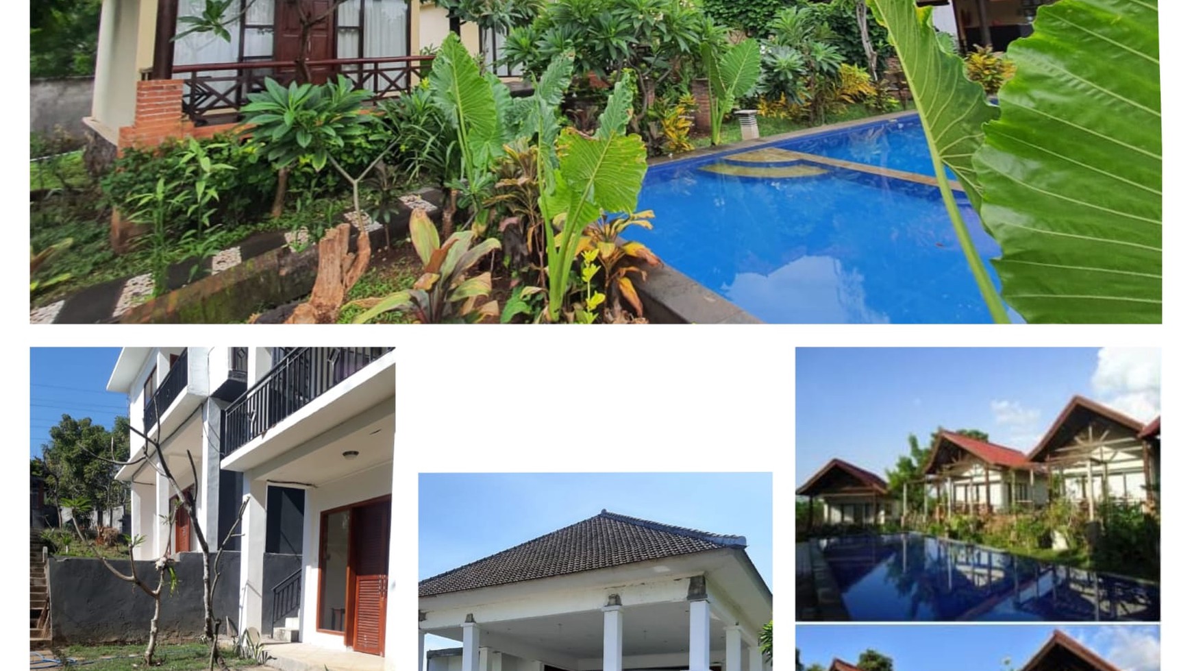 Dijual Cepat 12 Villa/Cottage dengan View Laut di Lovina Singaraja Bali