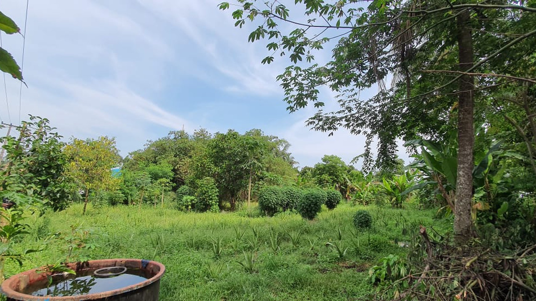 Kavling Siap Bangun & Cocok Untuk Mini Cluster @Jl Raya Parung Ciputat, Sawangan