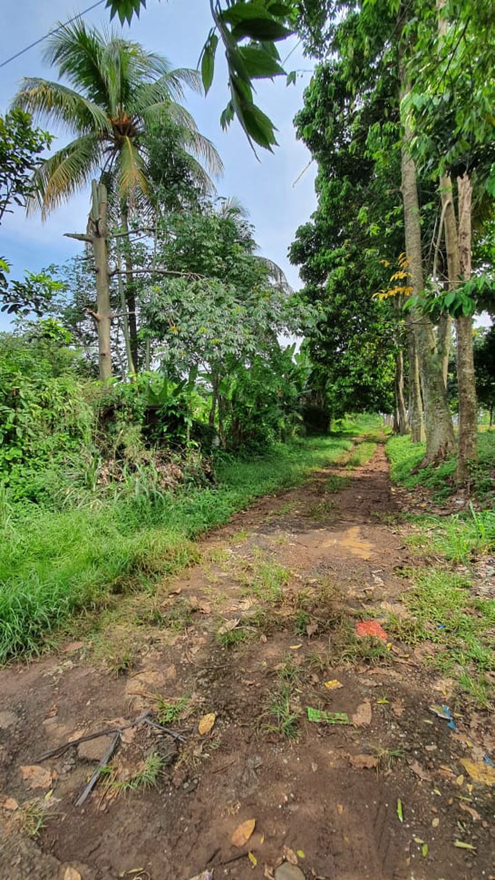 Kavling Siap Bangun & Cocok Untuk Mini Cluster @Jl Raya Parung Ciputat, Sawangan