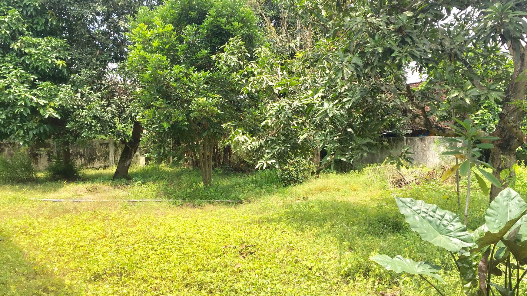 TANAH PEKARANGAN DI TENGAH KOTA JOGJA, DEKAT PASAR PASTY