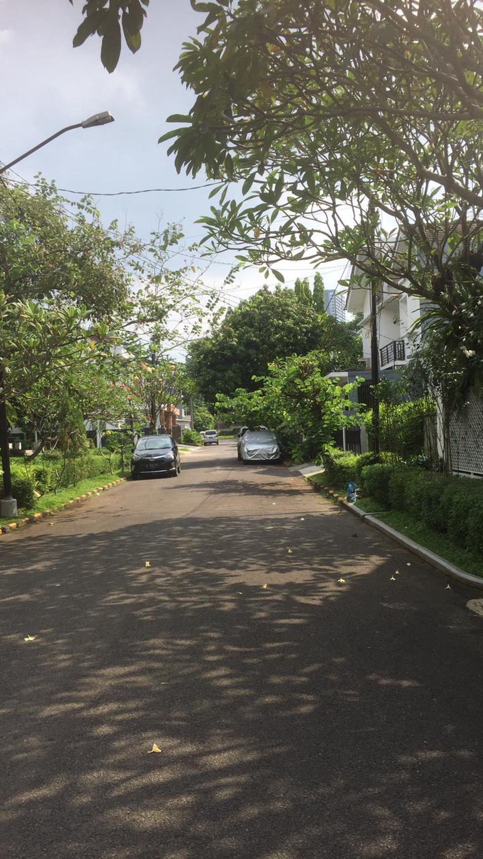 Rumah Maleo Bintaro mewah luas asri terawat rapi.